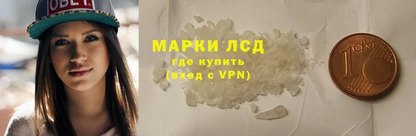 прущие грибы Баксан